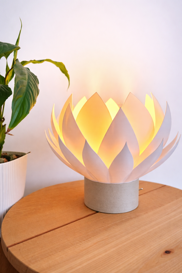 Lotia Dekoratif Masa Lambası Meşe Taban